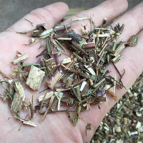 一枝蒿 中药材 蜈蚣草 乱头发 飞天蜈蚣50克特价抓药 实体店